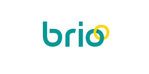 Logo de Brio, marque de jouets éducatifs en bois avec design moderne aux couleurs teal et jaune.